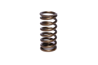 Engine Valve Spring