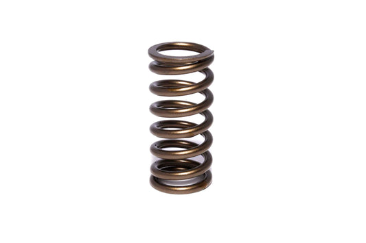 Engine Valve Spring