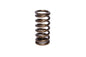 Engine Valve Spring