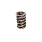 Engine Valve Spring