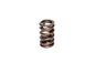 Engine Valve Spring