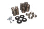 VALVE SPRING KIT PERFORMANCE