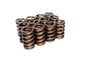 VALVE SPRINGS 1.260" OVATE WI