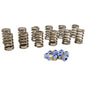 0.450" Max Lift Spring Kit For '88-'06 Jeep 4.0L