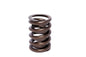 Engine Valve Spring