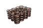 VALVE SPRINGS1.430"FOR984-973