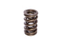 VALVE SPRING 1.384" 2 SPRING