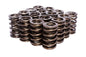 Engine Valve Spring