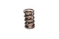 Engine Valve Spring