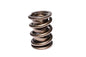 Engine Valve Spring