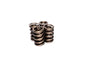 VALVE SPRING ASSEMBLY 1.551"