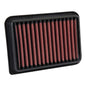 DryFlow Air Filter - AEM2820360