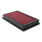 DryFlow Air Filter - AEM2830005