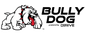 Bully Dog - Custom A-pillar Mount Paintable For GT With T-slot Adapter