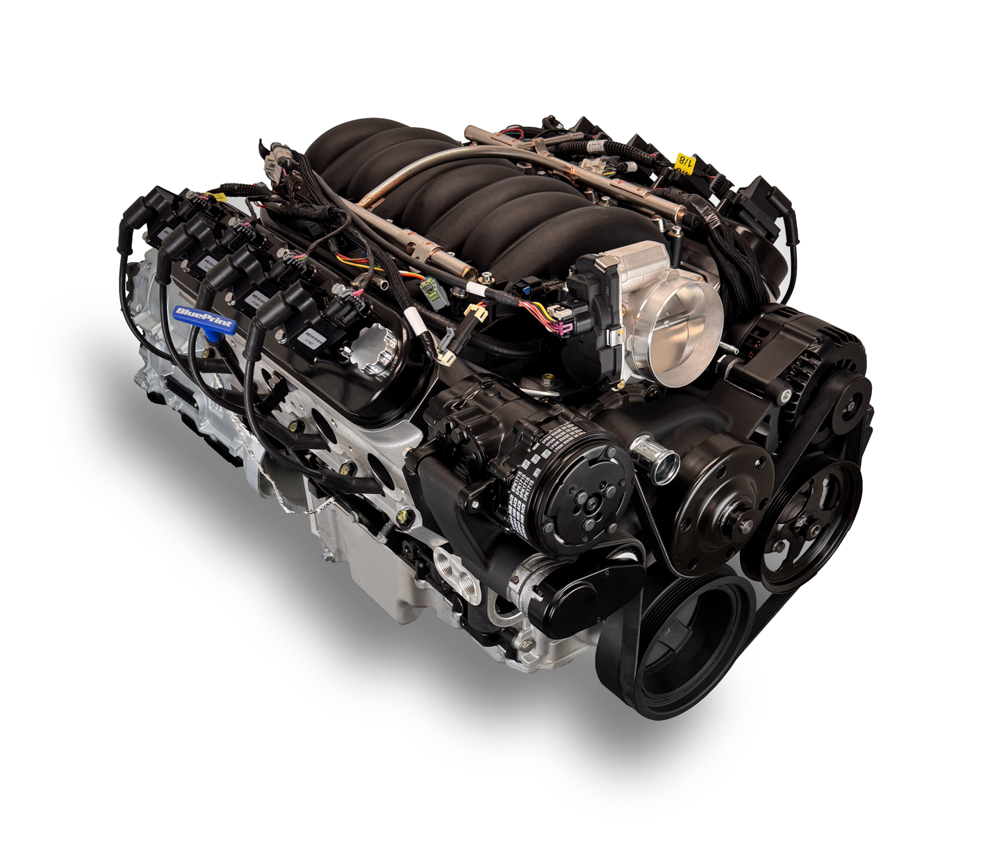 BluePrint Engines GM LS Compatible 376 C.i. Engine And ZF-8 Speed Automatic Transmission - Standard Edition Builder Series - Black Pulley Kit - BluePrint Engines Calibrated ECU