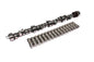XFI 218/224 Hydraulic Roller Cam And Lifter Kit For GM LT1/LT4