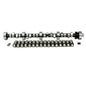 270BH-R12 Hydraulic Roller Cam And Lifter Kit For Ford 351W