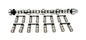 Xtreme Energy 236/242 Hydraulic Roller Cam And Lifter Kit For Pontiac 265-455