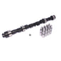 High Energy 210/210 Hydraulic Flat Cam/Lifter Kit For Ford 2000-2300 4 Cylinder