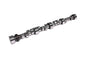Camshaft Mech Roller Big Block Chevy - 117249