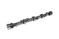 Solid Roller Camshaft - 129709