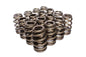 Valve Spring Set Beehive - 2605616