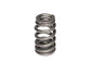 1.310 Beehive Valve Spring - LS1 - 269181