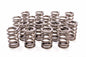 Valve Springs - 2697516