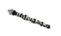 Camshaft Hydraulic Roller Ford 5.0L - 355568