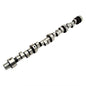 Pontiac V8 Hyd Roller Camshaft Thumpr Series - 5160011