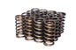 .937 Dia. Inner Valve Springs- .697 ID. - 97416
