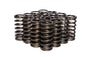 Valve Springs - 97516
