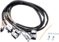 DS272196_0.png