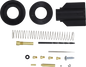 DS290149_0.png