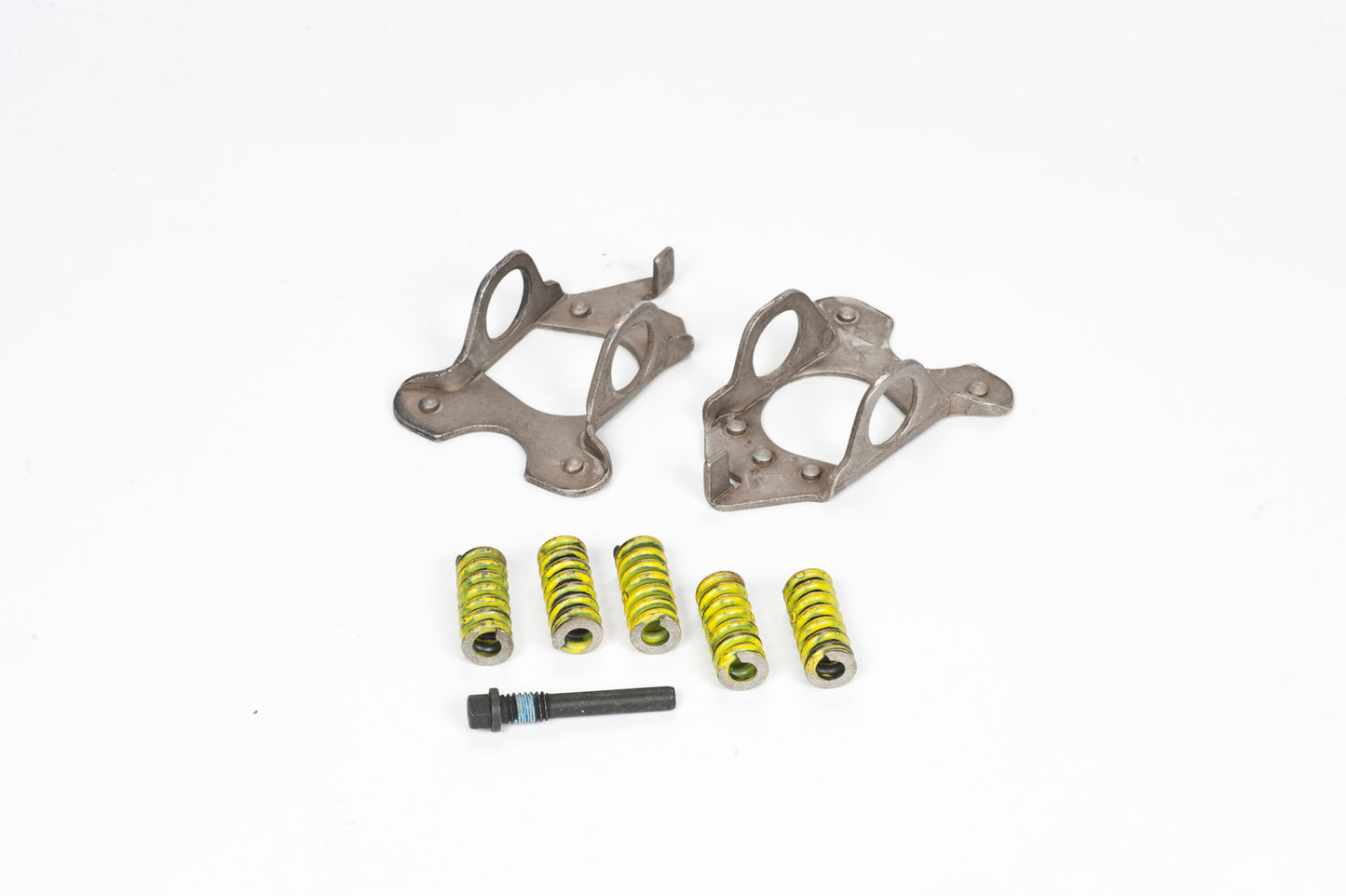 Auburn Gear - Spring Retainer & Springs