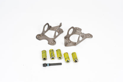Auburn Gear - Spring Retainer & Springs