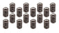 Vlve Sprgs Vctr Jr Flat Tappat - 5821