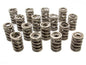 Valve Springs - 5823