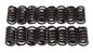 Valve Springs - 5824