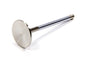 Exhaust Valve - 1.810 (1) - 9642