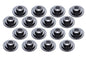 Retnr Vlve Sprng - 9720