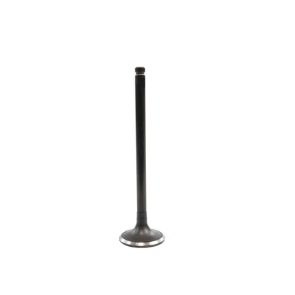 Exhaust Valve