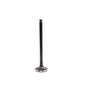 Exhaust Valve