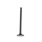 Exhaust Valve