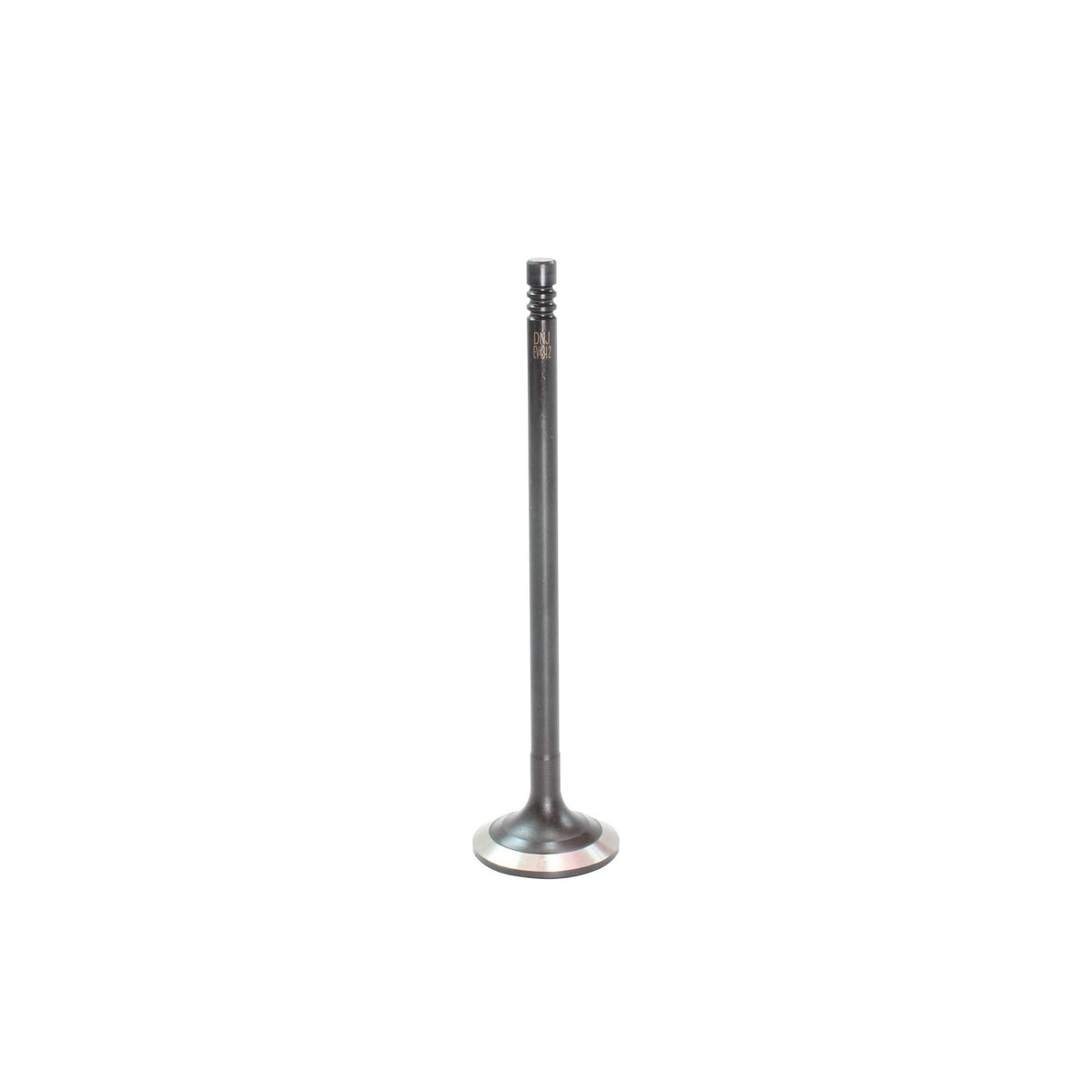 Exhaust Valve