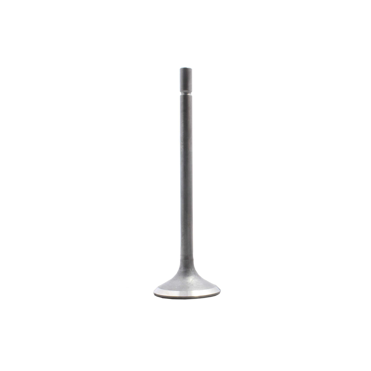 Exhaust Valve 2014-2016 Scion,Subaru 2.0L