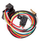 Electric Fan Controllerw /Relay Screw-In Probe - 121281