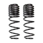 Skyjacker - 2 In. Rear Dual Rate Long Travel Coil Springs Pair - G20MRDR