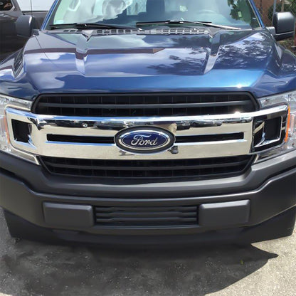 Grille Insert
