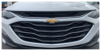 Grille Insert